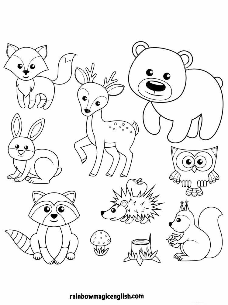 Animali Del Bosco Da Colorare Rainbow Magic English Animali Del Bosco Da Colorare Rainbow Magic English