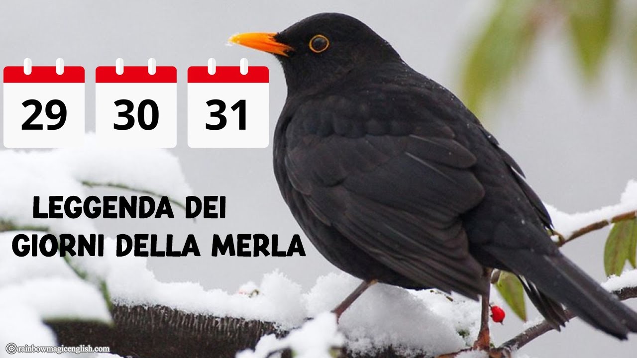 Il Detto Dei Giorni Della Merla La leggenda dei Giorni della Merla – Rainbow Magic English