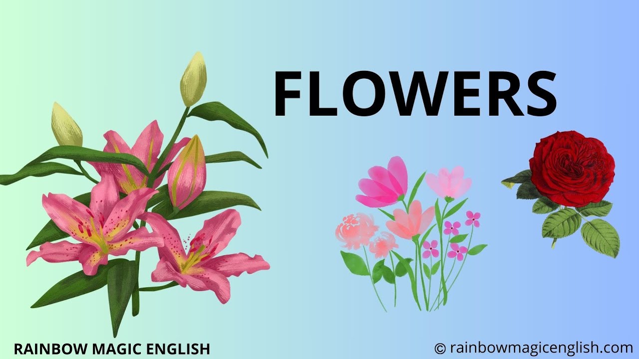 Come Si Scrive Fiori In Inglese